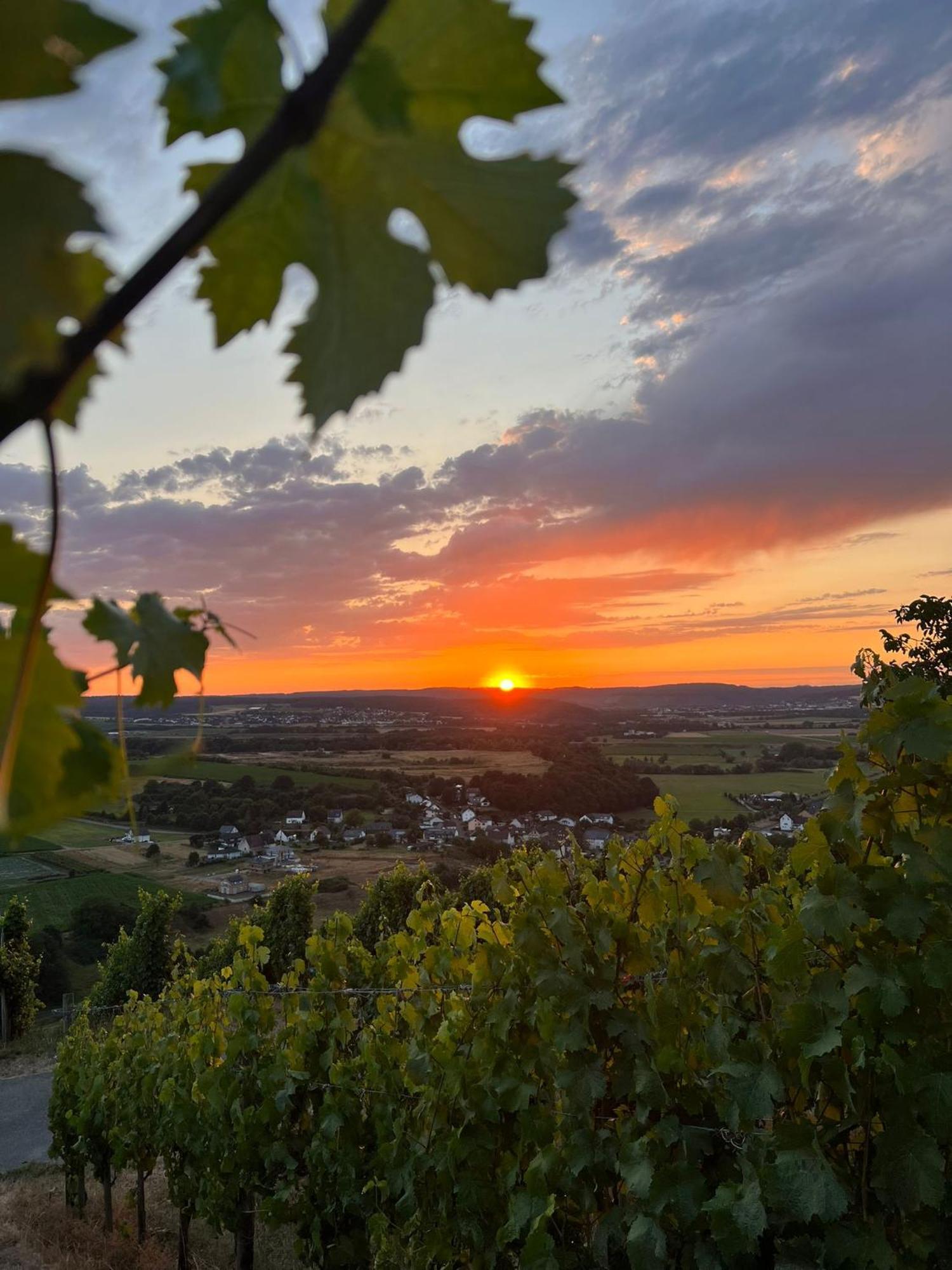 Weingut U. Gaestehaus Becker Platten Dış mekan fotoğraf